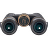 Бинокль LEVENHUK VEGAS ED 8x32 72814